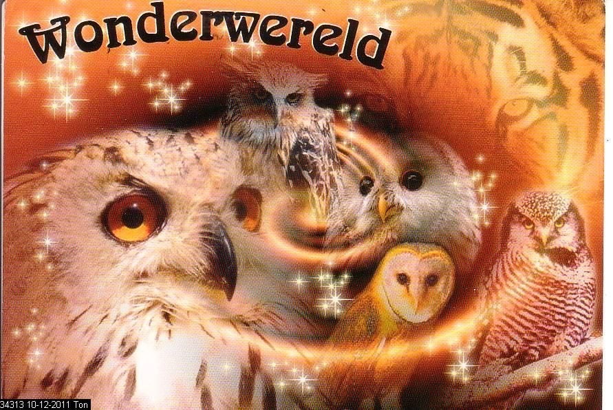 Ansichtkaart 	Ter Apel	Wonderwerld	Uilen, Verzenden, 1980 tot heden, Gelopen, Groningen
