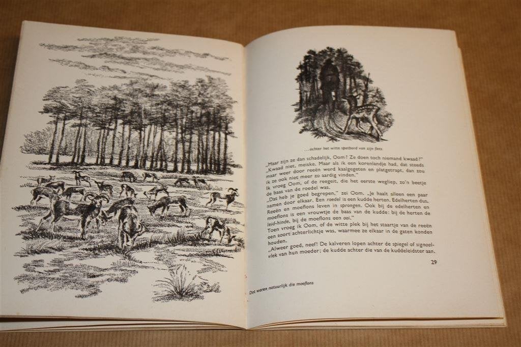 Ontmoetingen op de wildbaan. Leesboekje lagere school., Boeken, Kinderboeken | Jeugd | onder 10 jaar, Ophalen of Verzenden, Gelezen