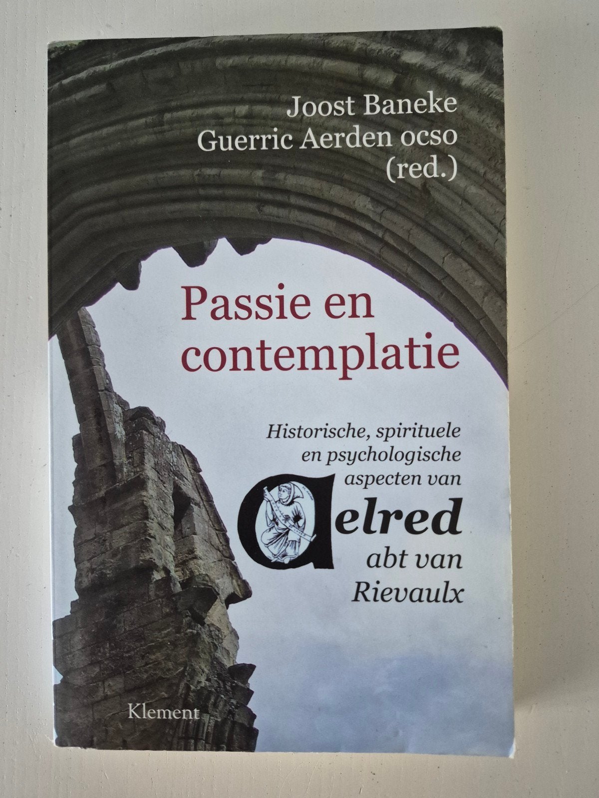 Passie en Contemplatie: Elred abt van Rievaulx, Ophalen of Verzenden
