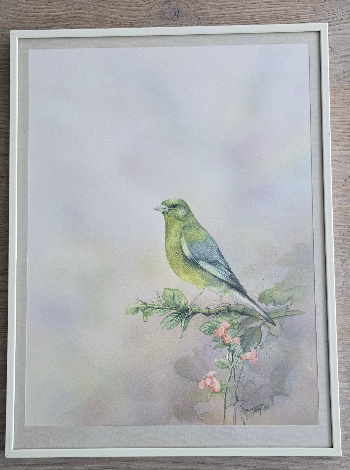 edetailleerde aquarel van een groenling 40x60 cm, Ophalen