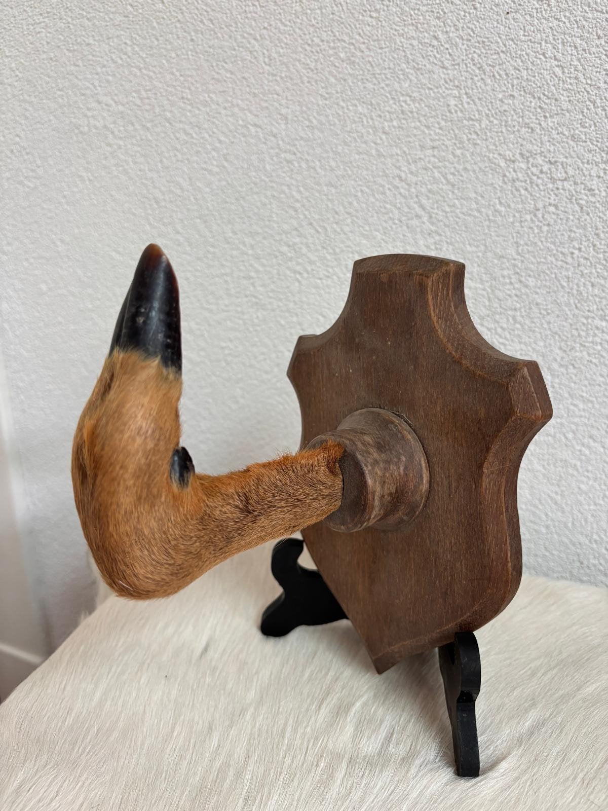 Hertenpoot op houten schild, taxidermie, Ophalen of Verzenden