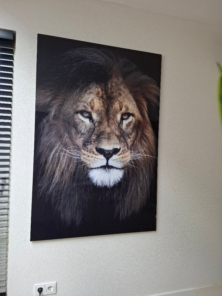 Leeuw schilderij plexiglas, Ophalen, Gebruikt, 125 cm of meer, Schilderij