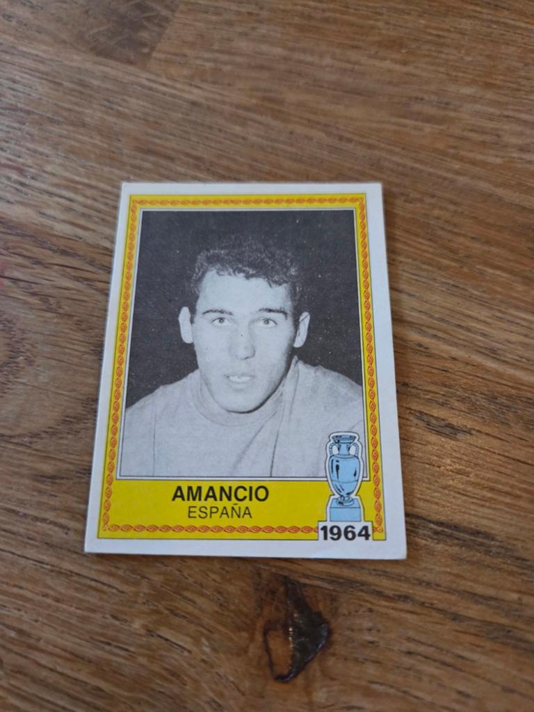 Panini EK 80, Ophalen of Verzenden, Zo goed als nieuw, Buitenlandse clubs, Poster, Plaatje of Sticker
