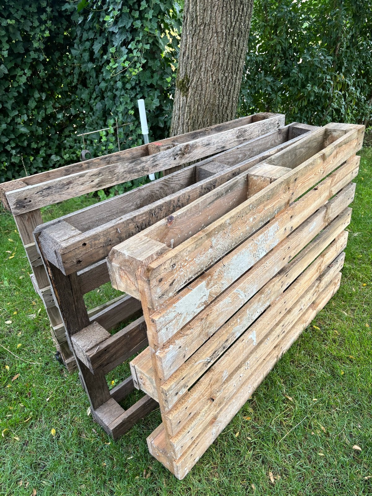 Gebruikte pallets, Ophalen, Gebruikt, 200 tot 250 cm, 50 mm of meer