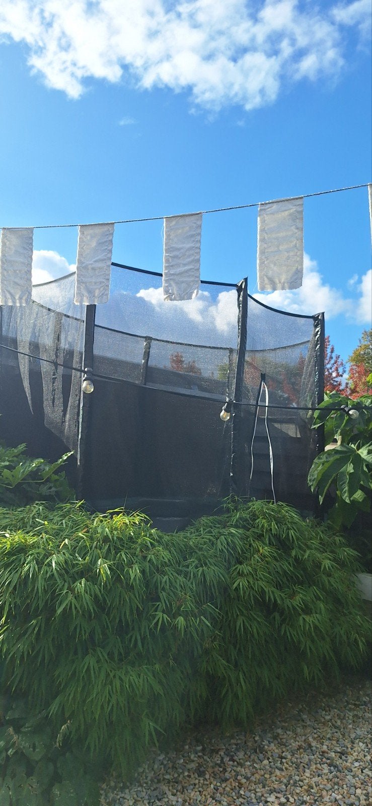 Salta Trampoline met Veiligheidsnet, Ophalen, Gebruikt