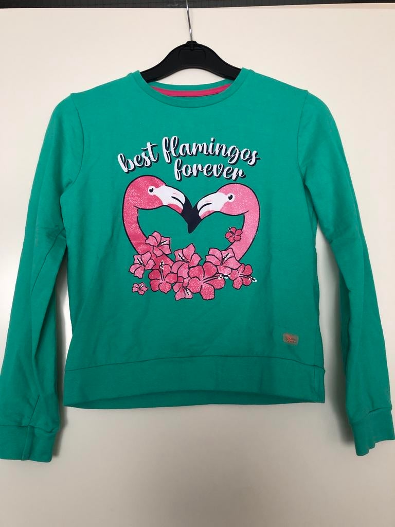 Leuke sweater met flamingo's - Maat 140146, Ophalen of Verzenden, Zo goed als nieuw, Meisje, Trui of Vest
