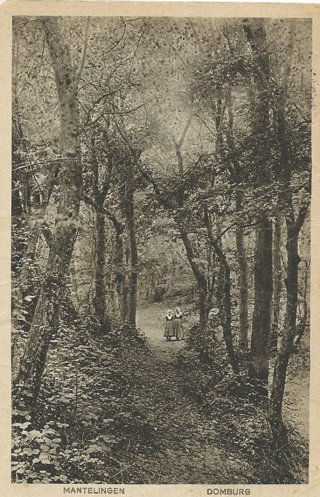 Ansichtkaart DOMBURG Park Westhove bij Domburg, Verzenden, Voor 1920, Gelopen, Zeeland