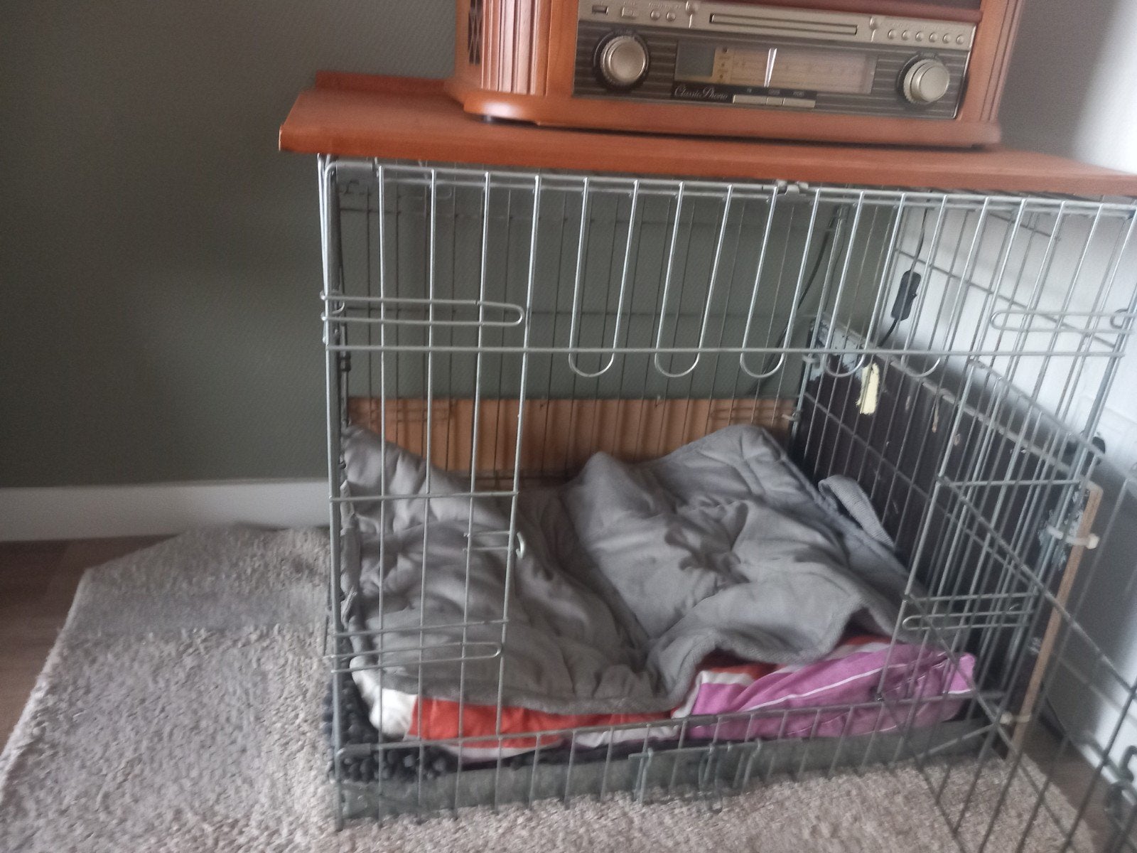 honden bench voor middelgrote hond, Ophalen