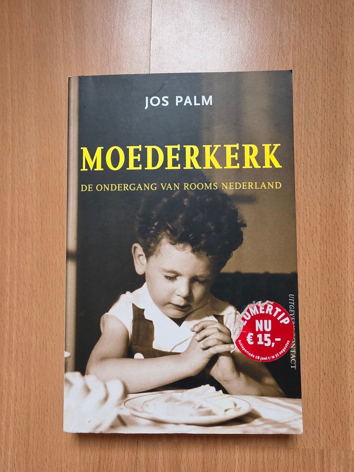 Moederkerk: De Ondergang van Rooms Nederland - Jos Palm, Ophalen of Verzenden, Zo goed als nieuw, Jos Palm, Christendom | Katholiek