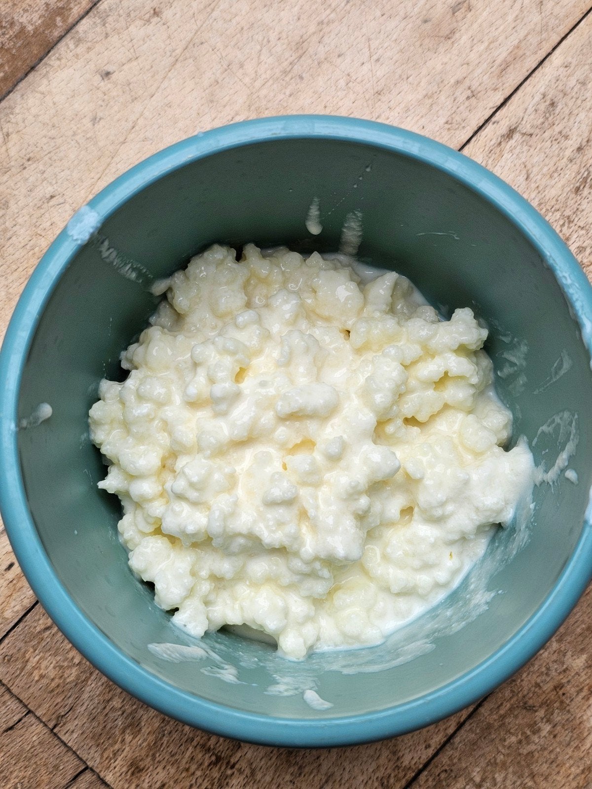 melk kefir korrels, Ophalen