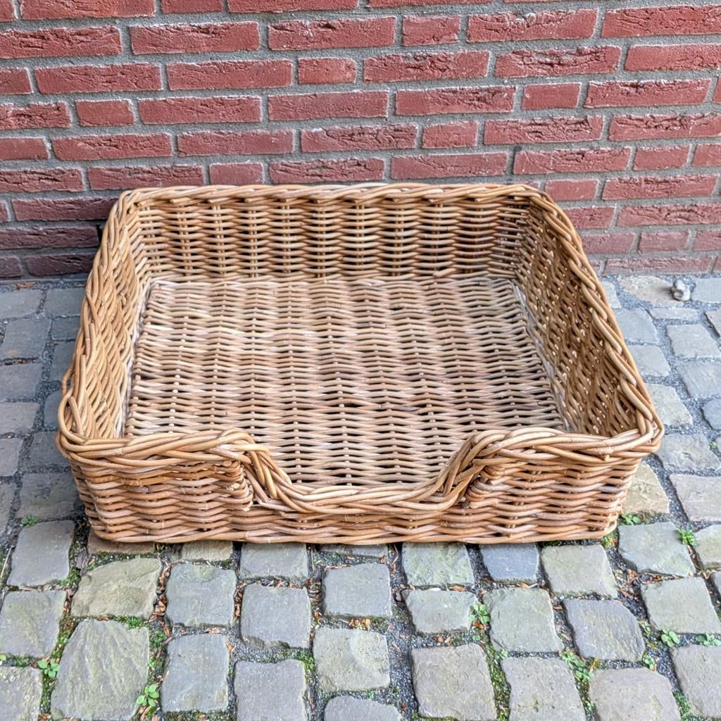 Rieten Hondenmand, Ophalen, Gebruikt, Riet