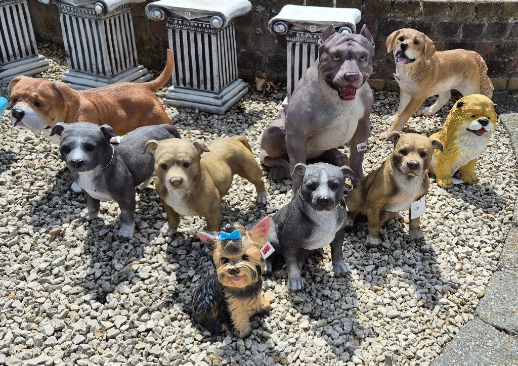 Polyester honden beelden , allerlei, Ophalen of Verzenden, Nieuw, Kunststof, Dierenbeeld