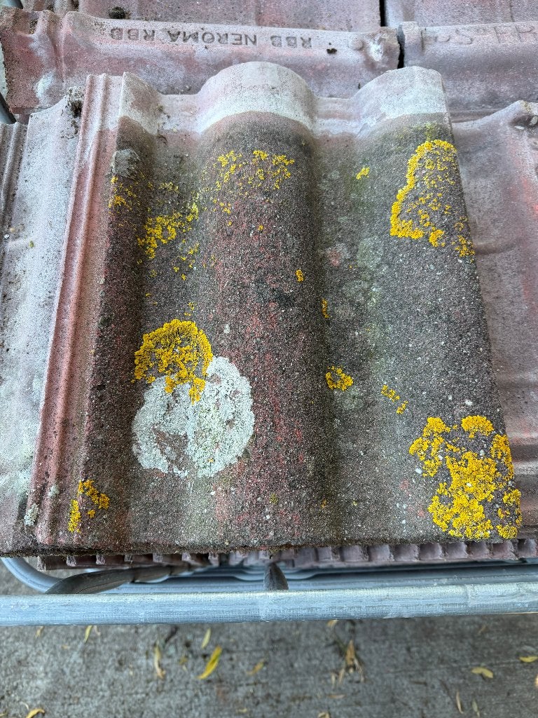 1000 stuks RBB Neroma sneldek dakpan rood., Ophalen, Gebruikt, Neroma, Overige typen