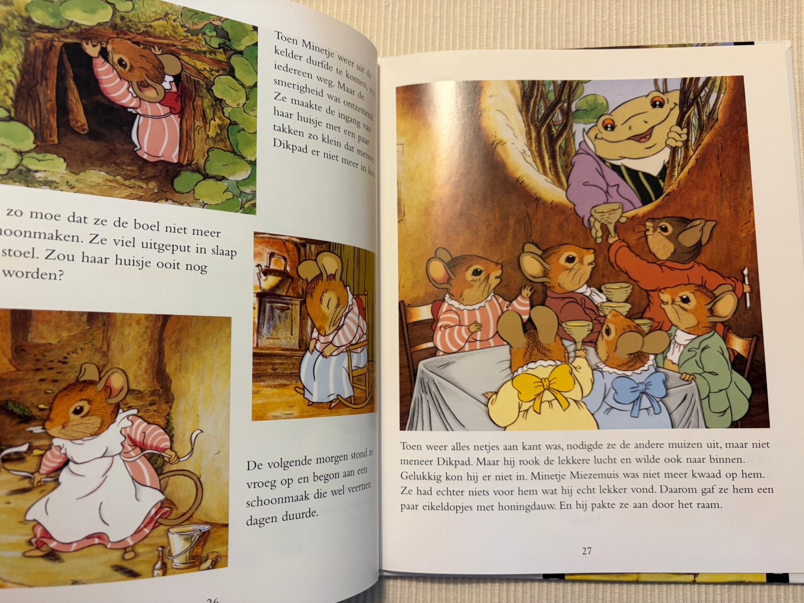 De wollepluiskonijntjes en Minetje Miezemuis, Boeken, Ophalen of Verzenden, Zo goed als nieuw