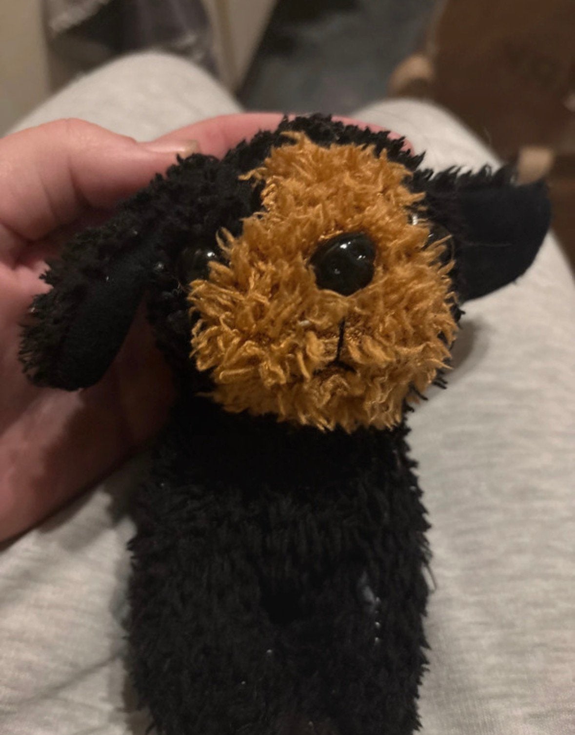 Schattige kleine zwarte en bruine knuffelhond, Gebruikt, Zwart, Klein (minder dan 20 cm), Hond