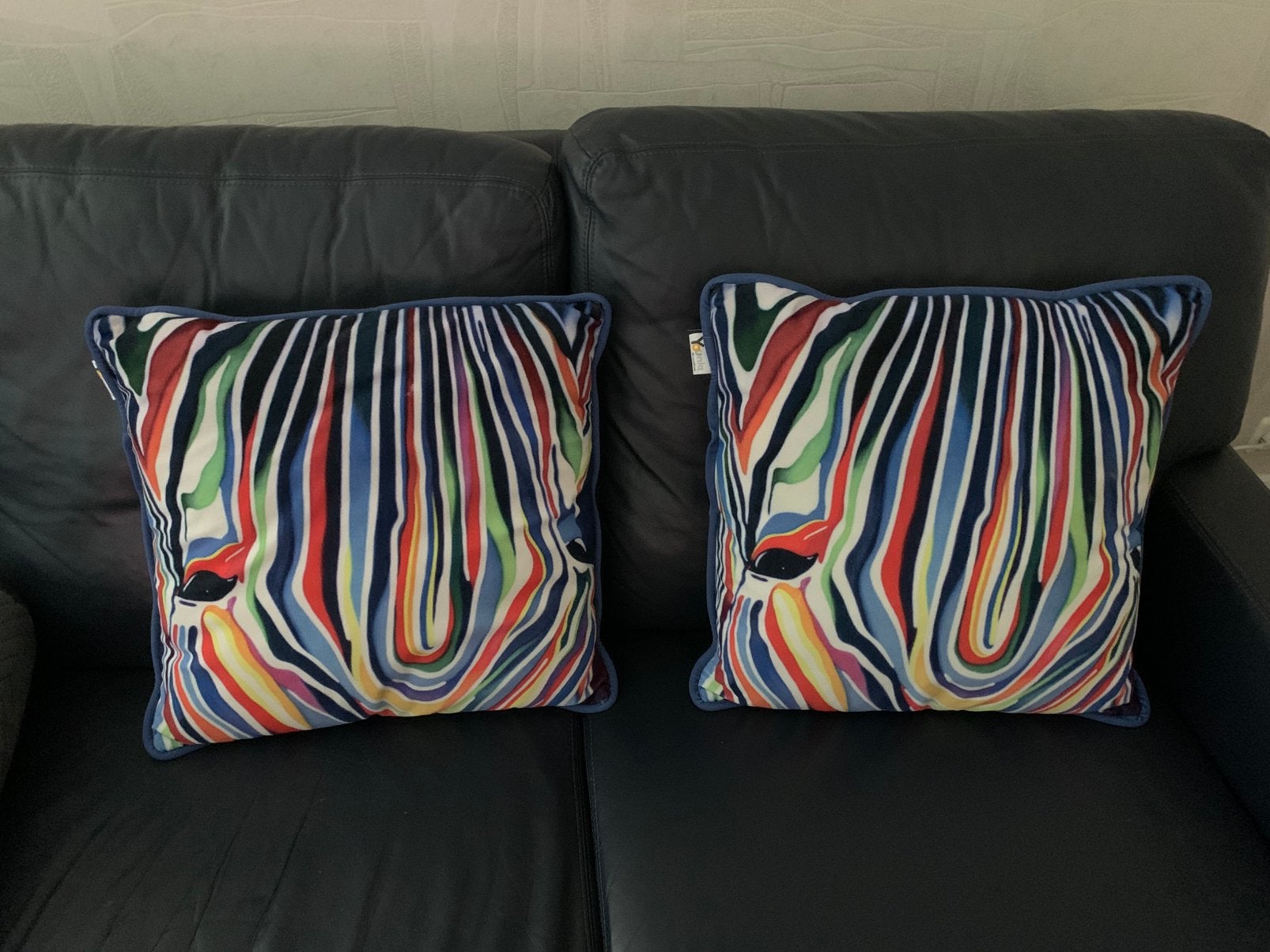 2 sier kussens, Huis en Inrichting, Woonaccessoires | Kussens, Ophalen, Zo goed als nieuw, Vierkant