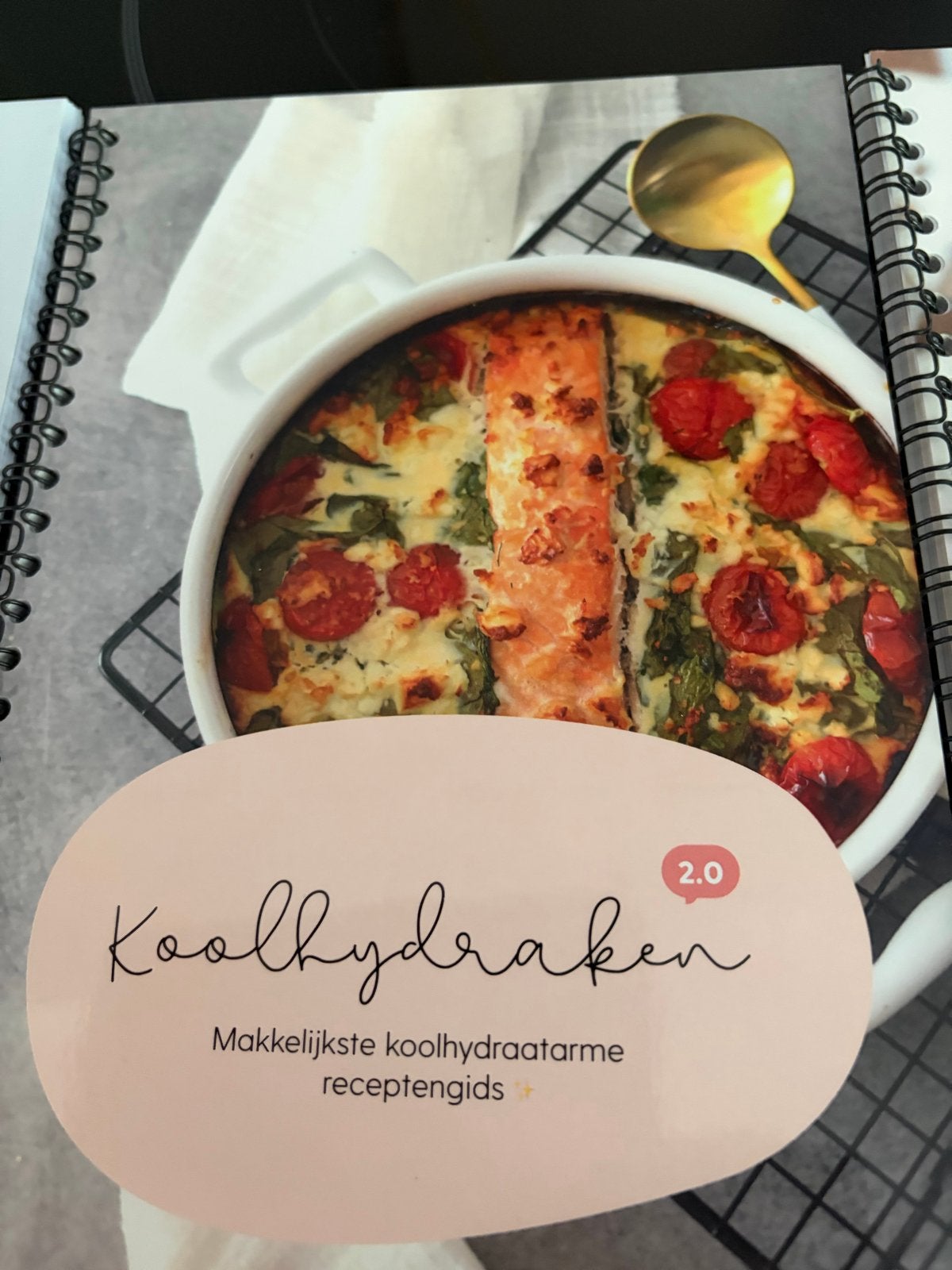 Koolhydraten 2.0 receptengids + startgids + notitieboek, Ophalen, Voorgerechten en Soepen, Nieuw, Gezond koken