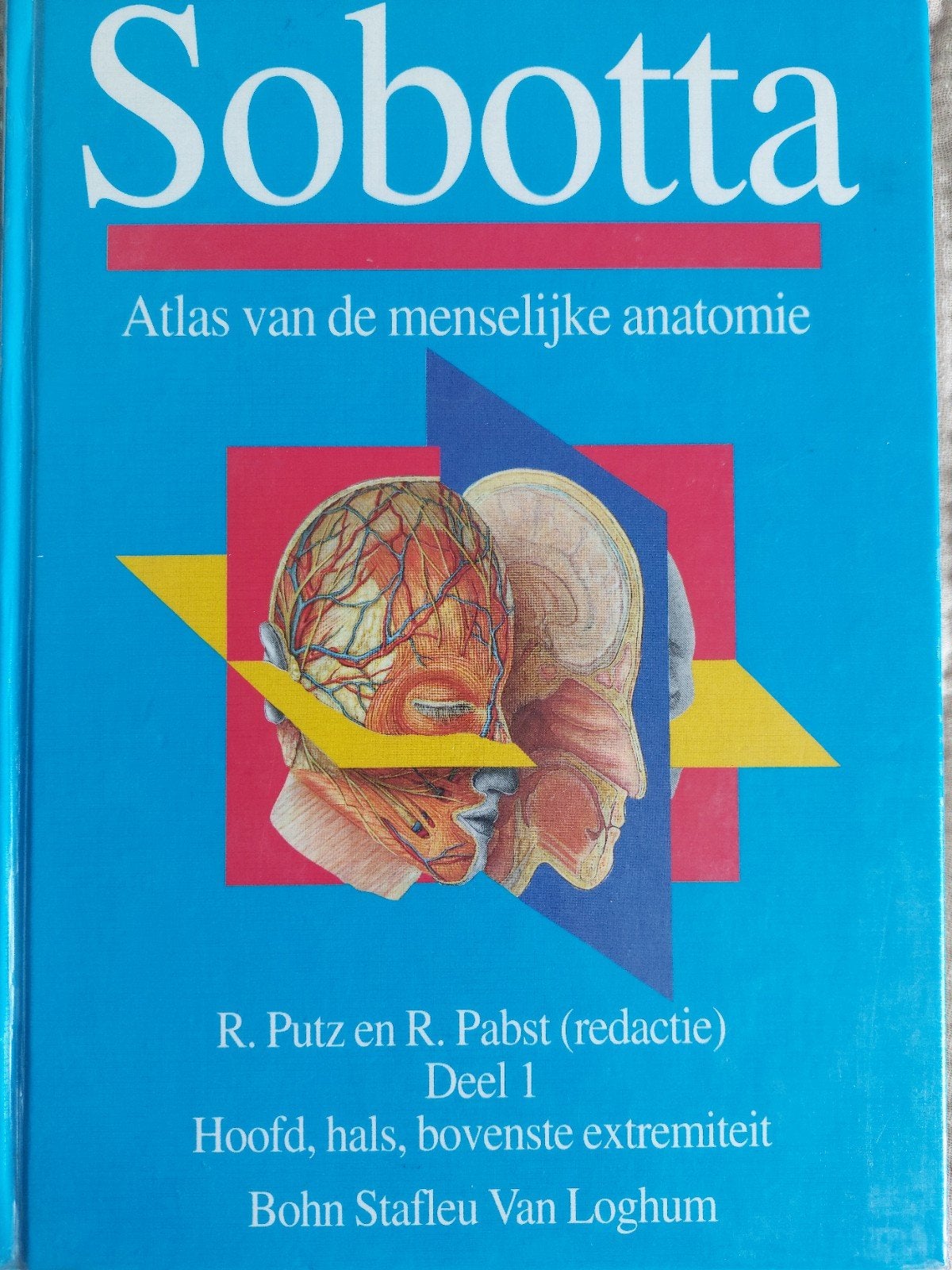 Sobotta Atlas van de menselijke anatomie Deel 1, Boeken, Gelezen, R. Putz en R. Pabst (redactie), Ophalen of Verzenden, WO
