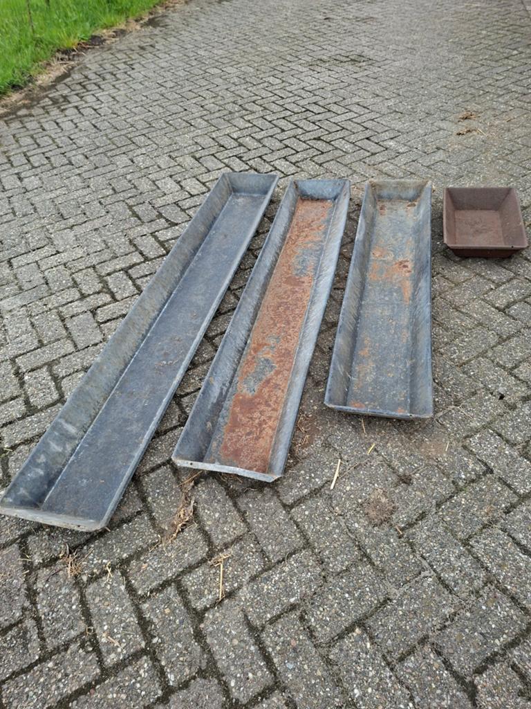 Te koop gegalveniseerde voertroggen  van 1,50 tot 2 meter la, Dieren en Toebehoren, Schapen, Geiten en Varkens, Vrouwelijk, Schaap