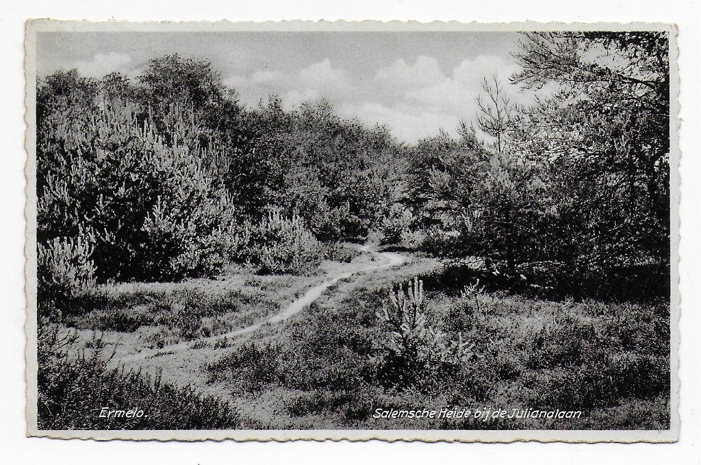 Ermelo Salemsche heide gelopen Ansichtkaart ( B8170), Ophalen of Verzenden, 1960 tot 1980, Gelopen, Gelderland
