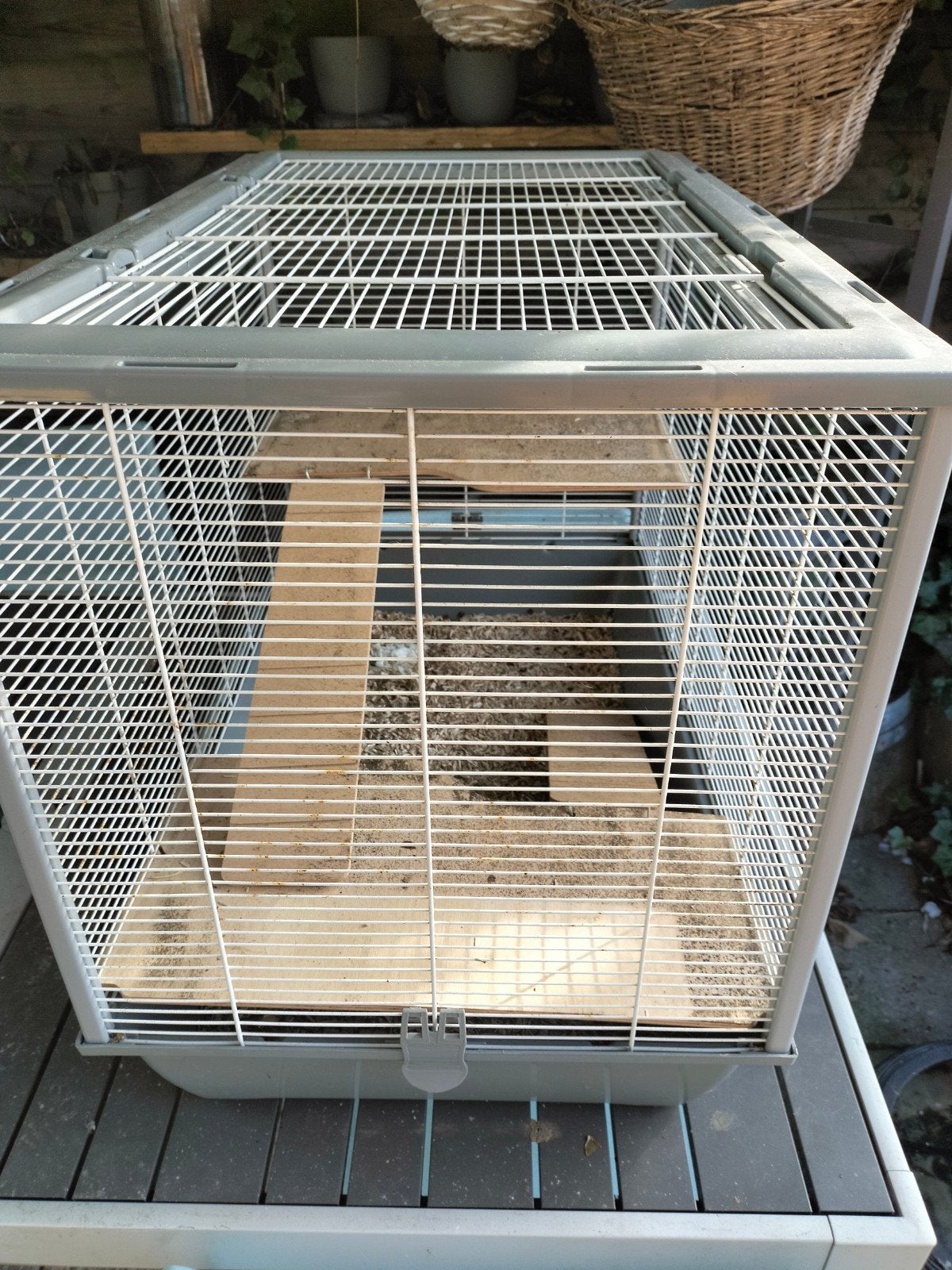 knaagdieren kooi, Ophalen of Verzenden, Zo goed als nieuw, Metaal, Vogelkooi