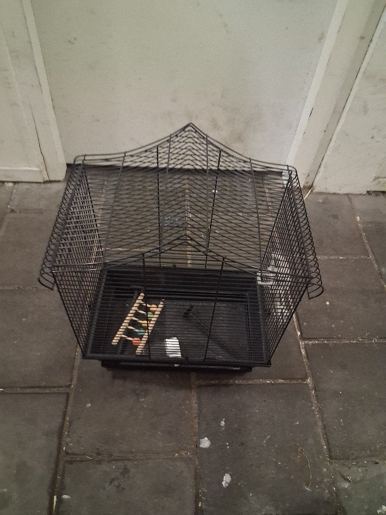 Vogelkooi zwart, Ophalen, Metaal, Vogelkooi