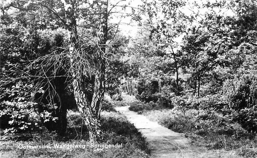 377-524-009 Ootmarsum Wandelweg Springendal, Verzenden, Voor 1920, Overijssel