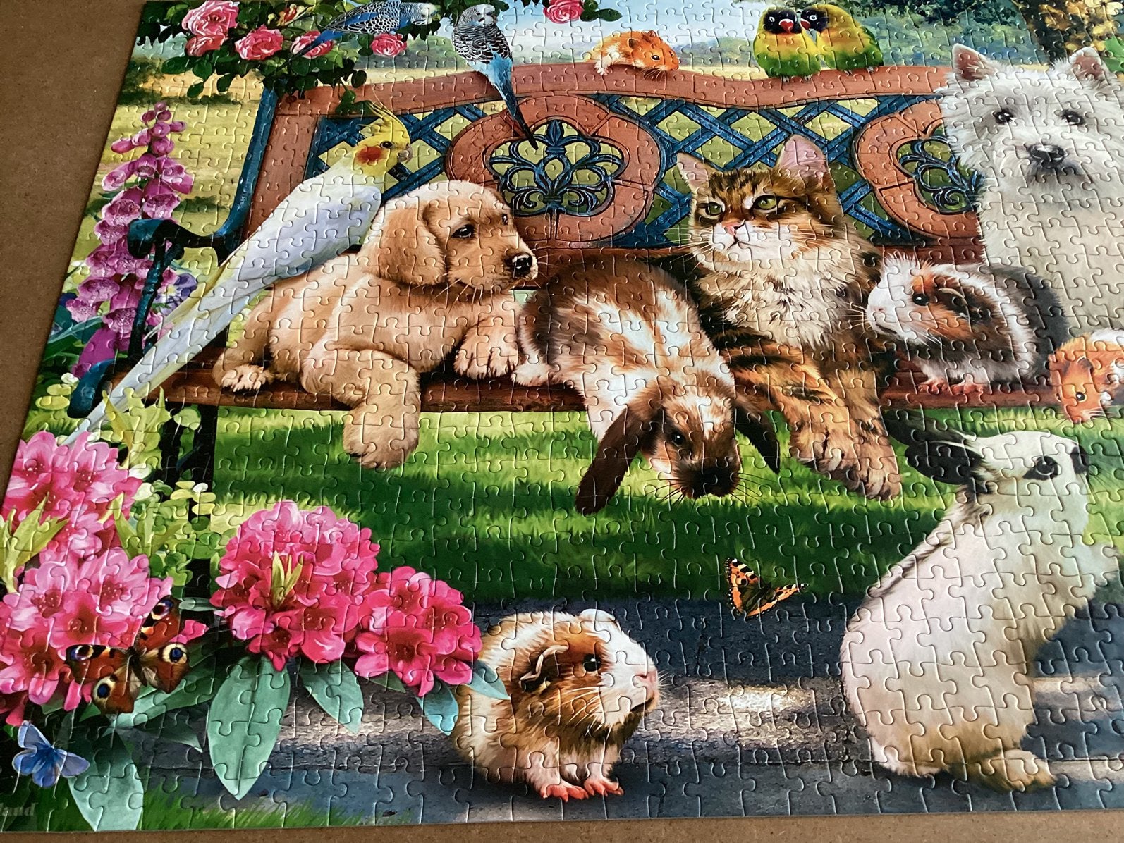 Castorland puzzel 1000 Pets in the Park, Ophalen of Verzenden, 500 t/m 1500 stukjes, Zo goed als nieuw, Legpuzzel