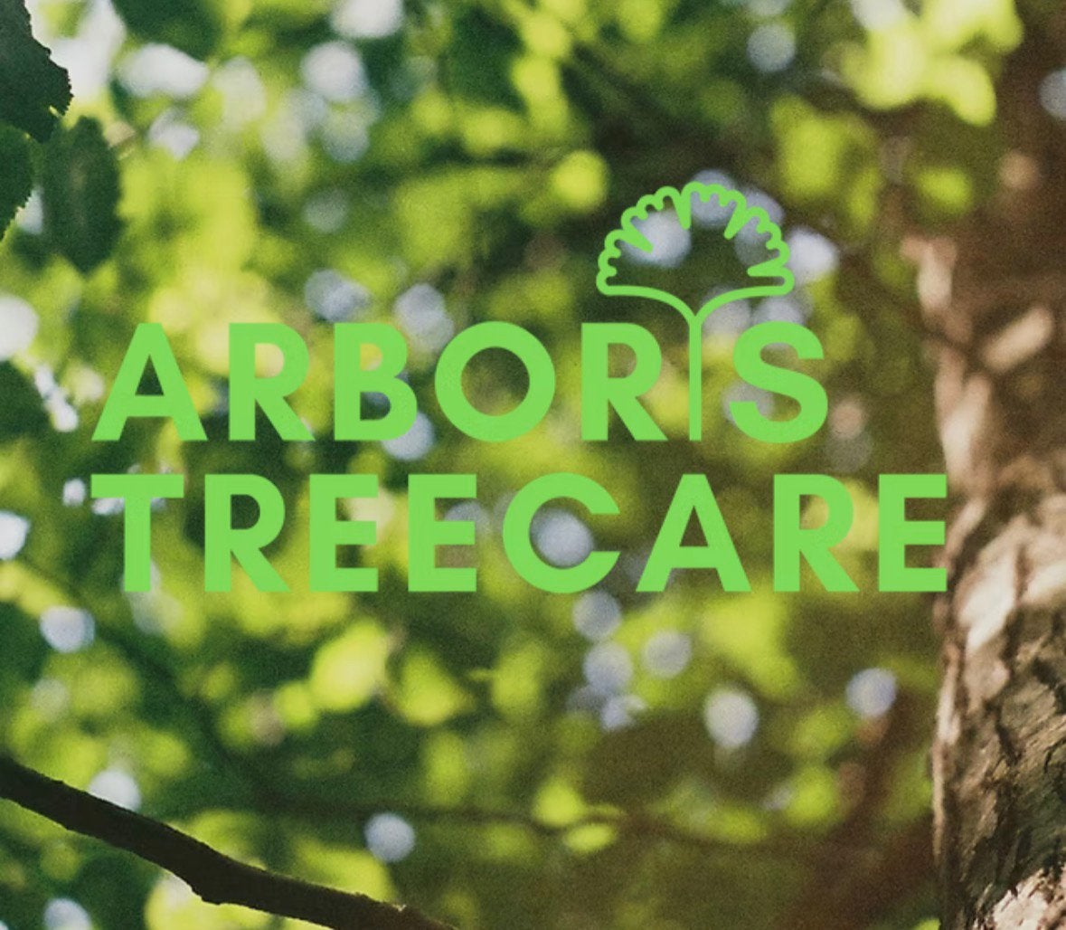 Boomverzorging & Tuinonderhoud | Arboris Treecare, Tuinonderhoud of Snoeiwerk