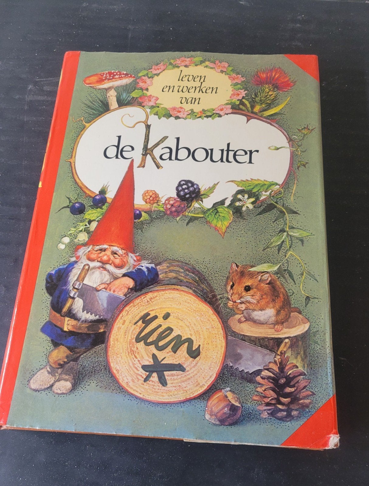Het leven en werken van de Kabouter - Boek, Boeken, Ophalen of Verzenden, Gelezen, Wil Huygen, Sprookjes