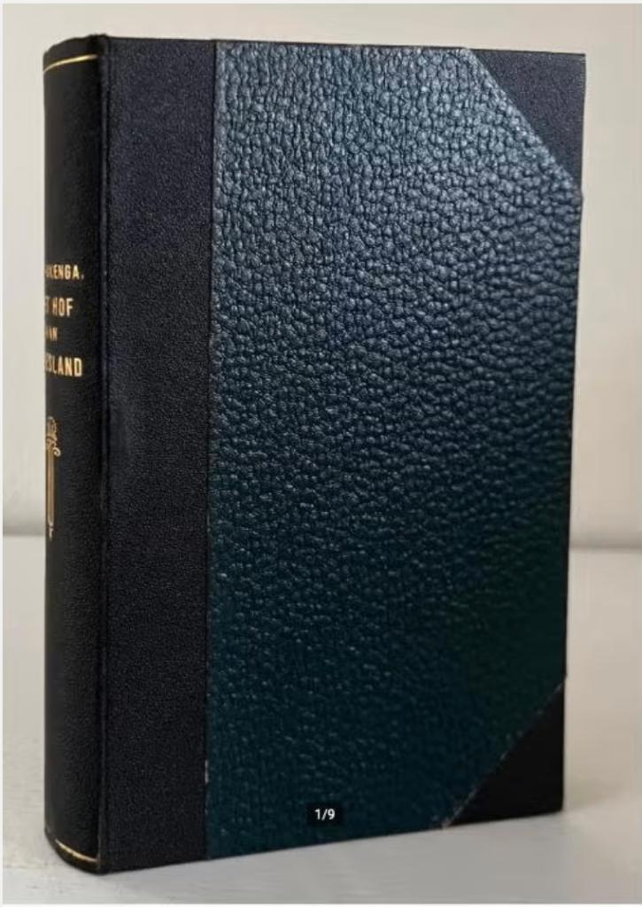 Het Hof Van Friesland Gedurende de Zeventiende Eeuw (1869), Boeken, Ophalen of Verzenden, Gelezen