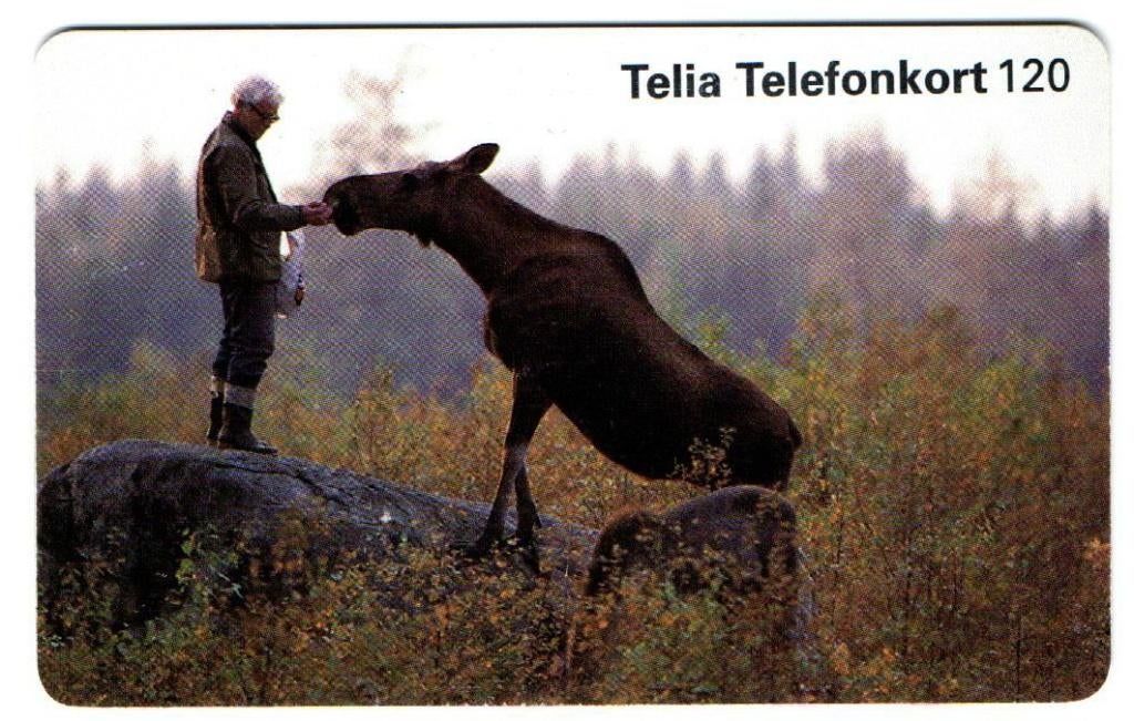 Mooi Telefoonkaartje uit SWEDEN 2, Ophalen of Verzenden