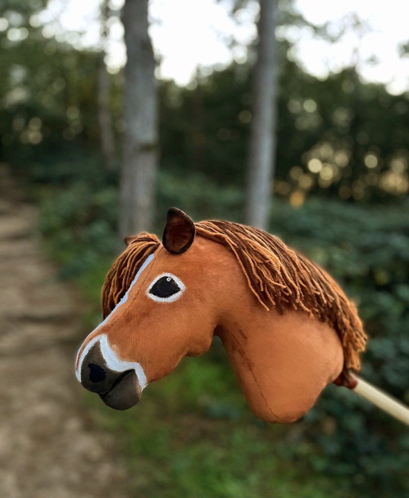 Prachtige hobbyhorse, Ophalen of Verzenden, Zo goed als nieuw