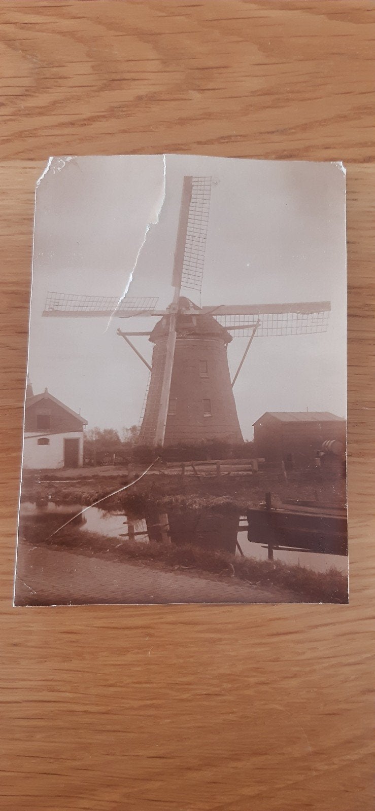 Molen (Oude foto), Gebruikt, Foto, Ophalen of Verzenden, Gebouw