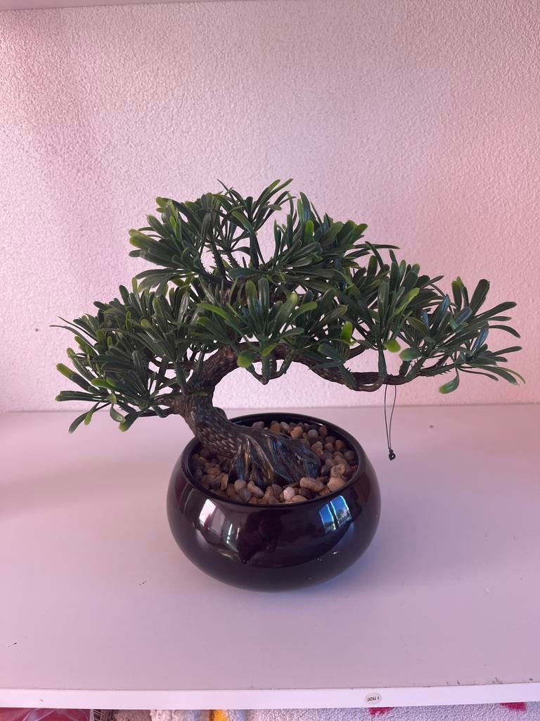 Kunst Bonsai Boompje in Donkere Pot, Ophalen, Groen, Kunststof, Oosters