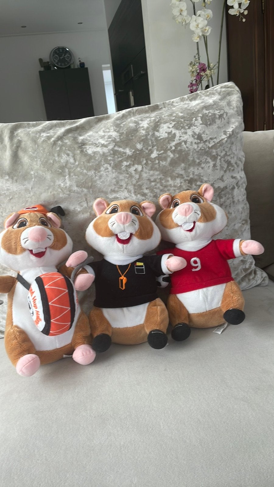 AH hamsters, Ophalen of Verzenden, Zo goed als nieuw, Overige typen