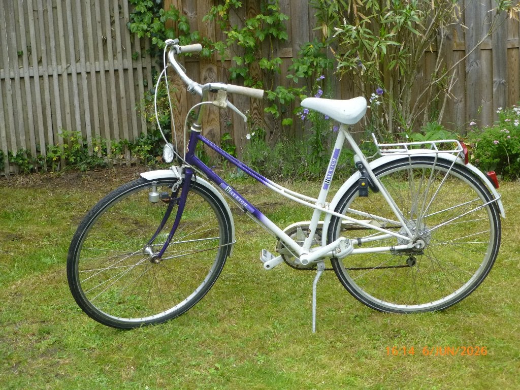Raleigh damesfiets, Fietsen en Brommers, Gebruikt, Versnellingen, 50 tot 53 cm, Ophalen