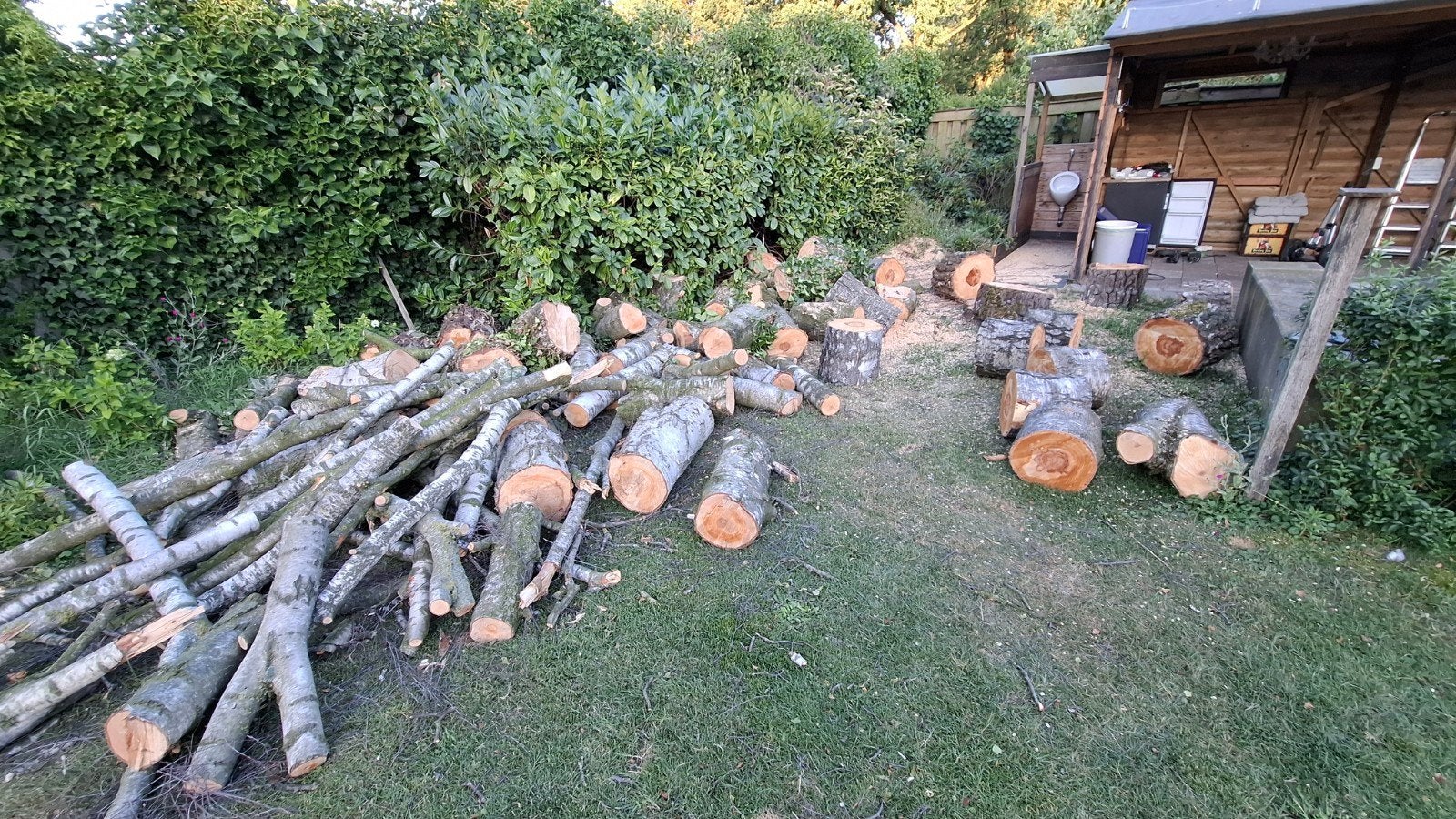 Ruim 4 kuub berkenhout in draagbare stukken, 3 tot 6 m³, Ophalen, Berkenhout, Blokken