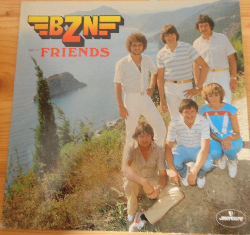 BZN-Friends (LP, LP, Gebruikt, Pop, Ophalen of Verzenden