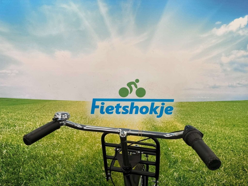 Fietshokje Amersfoort: Nieuwe Hollandia Transportfiets H57, Terugtraprem, Versnellingen, Niet ingevuld, Nieuw