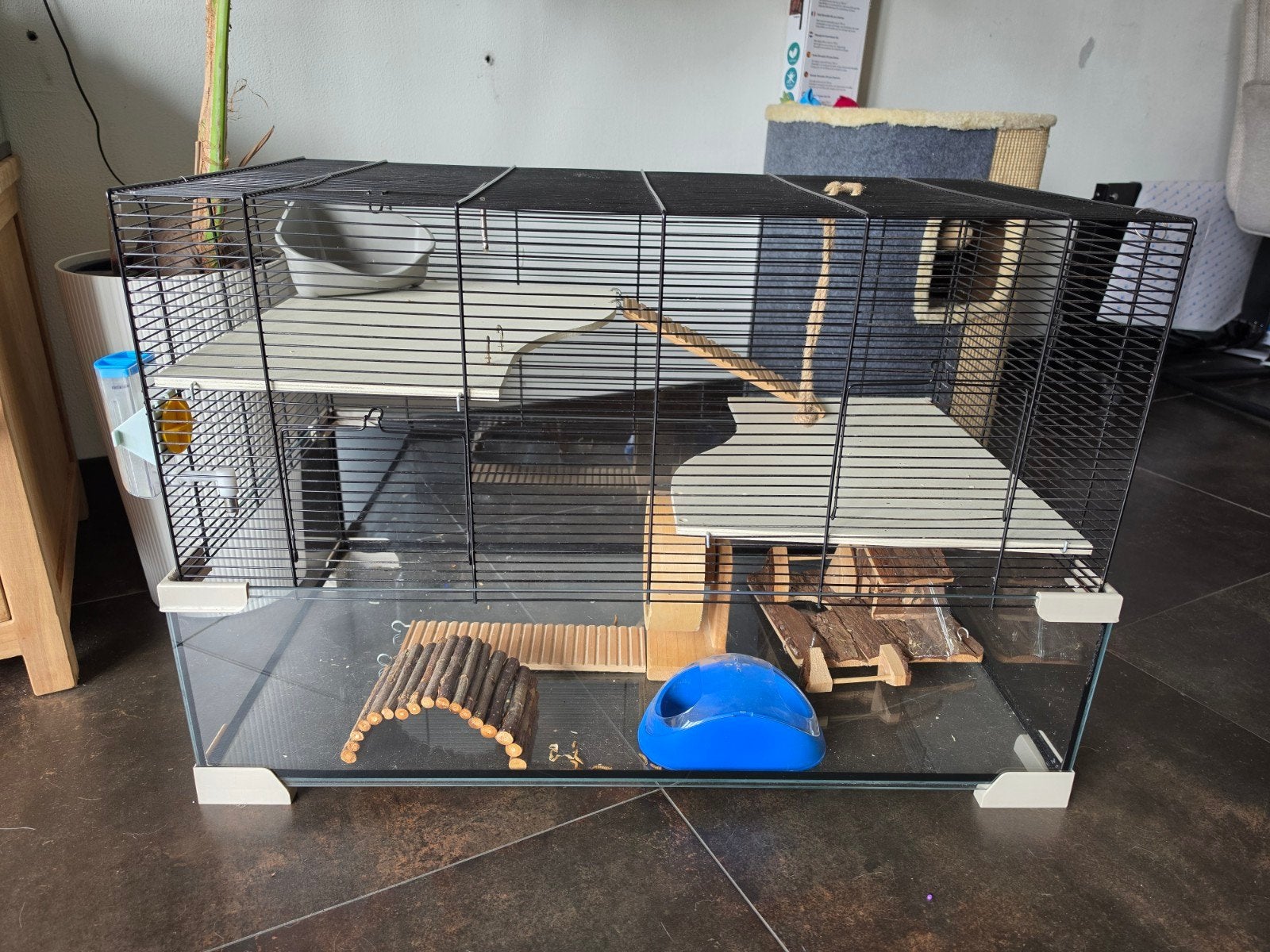 Hamster kooi met behoren die zichtbaar zijn op foto, Dieren en Toebehoren, Knaagdieren en Konijnen | Hokken en Kooien, Kooi, Minder dan 75 cm