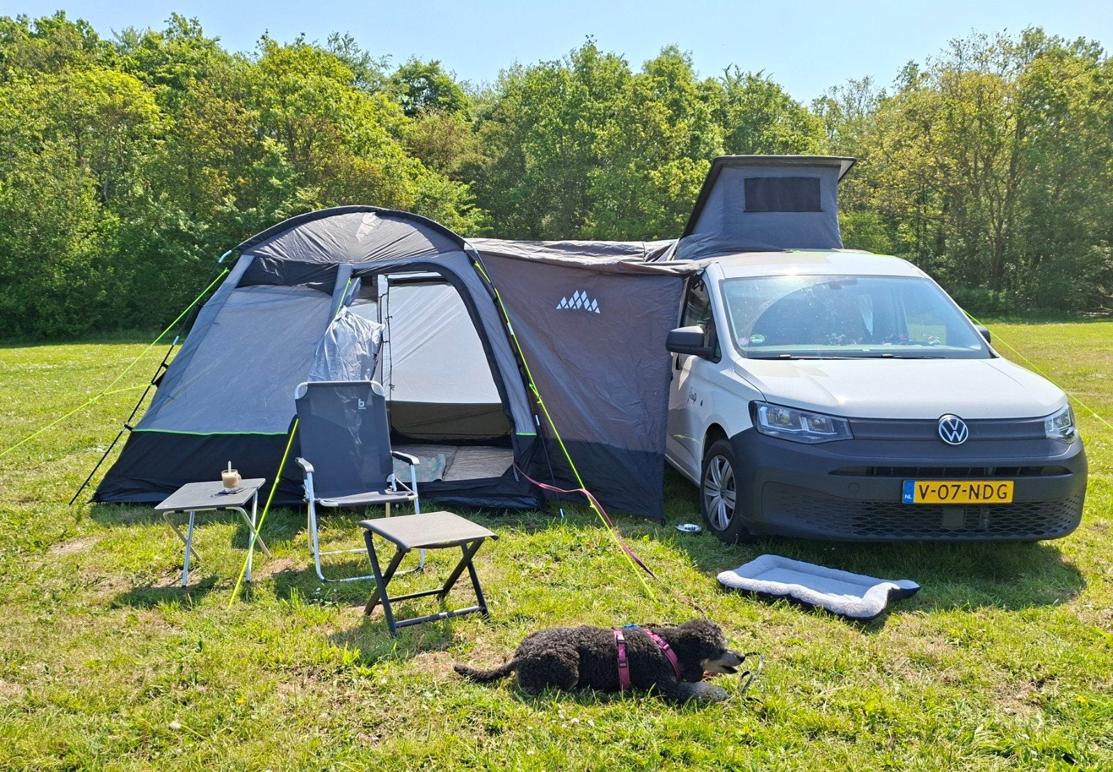 Bustent Obelink Traveller, nieuw, Caravans en Kamperen, Ophalen, Nieuw