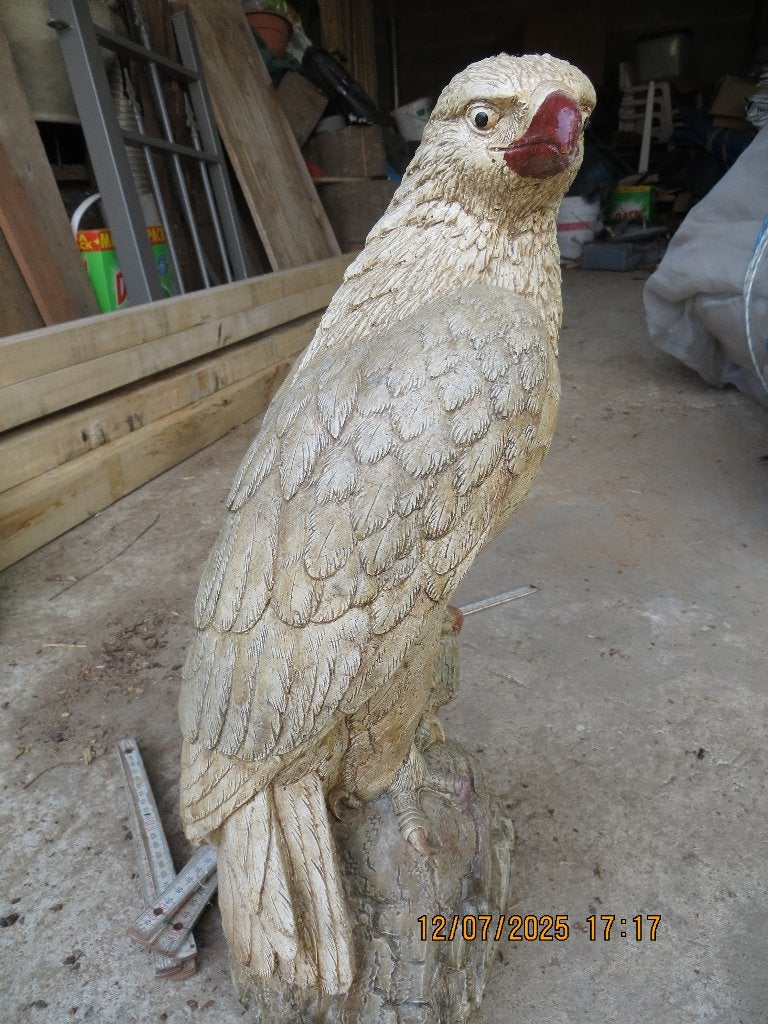 stenenbeeld roofvogel, Ophalen of Verzenden, 20 - 50 cm, Steen of Keramiek, Beeld