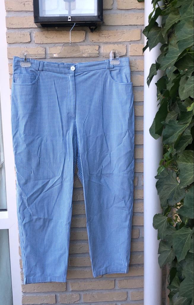 Delmod Seasons blauw-wit geruite broek | maat 46, Kleding | Dames, Blauw, Maat 46/48 (XL) of groter, Ophalen of Verzenden, Zo goed als nieuw