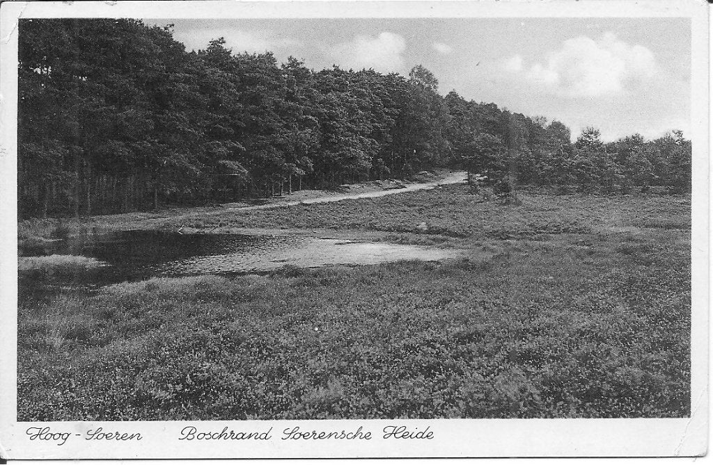 Oude ansichtkaart Hoog-Soeren, Boschrand Soerense Heide 1941, Ophalen of Verzenden, 1940 tot 1960, Gelopen, Gelderland