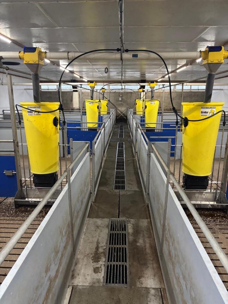 Hokinrichting voor vleesvarkens [270], Boekhorst Trading, Info@boekhorst.com, Singel 16