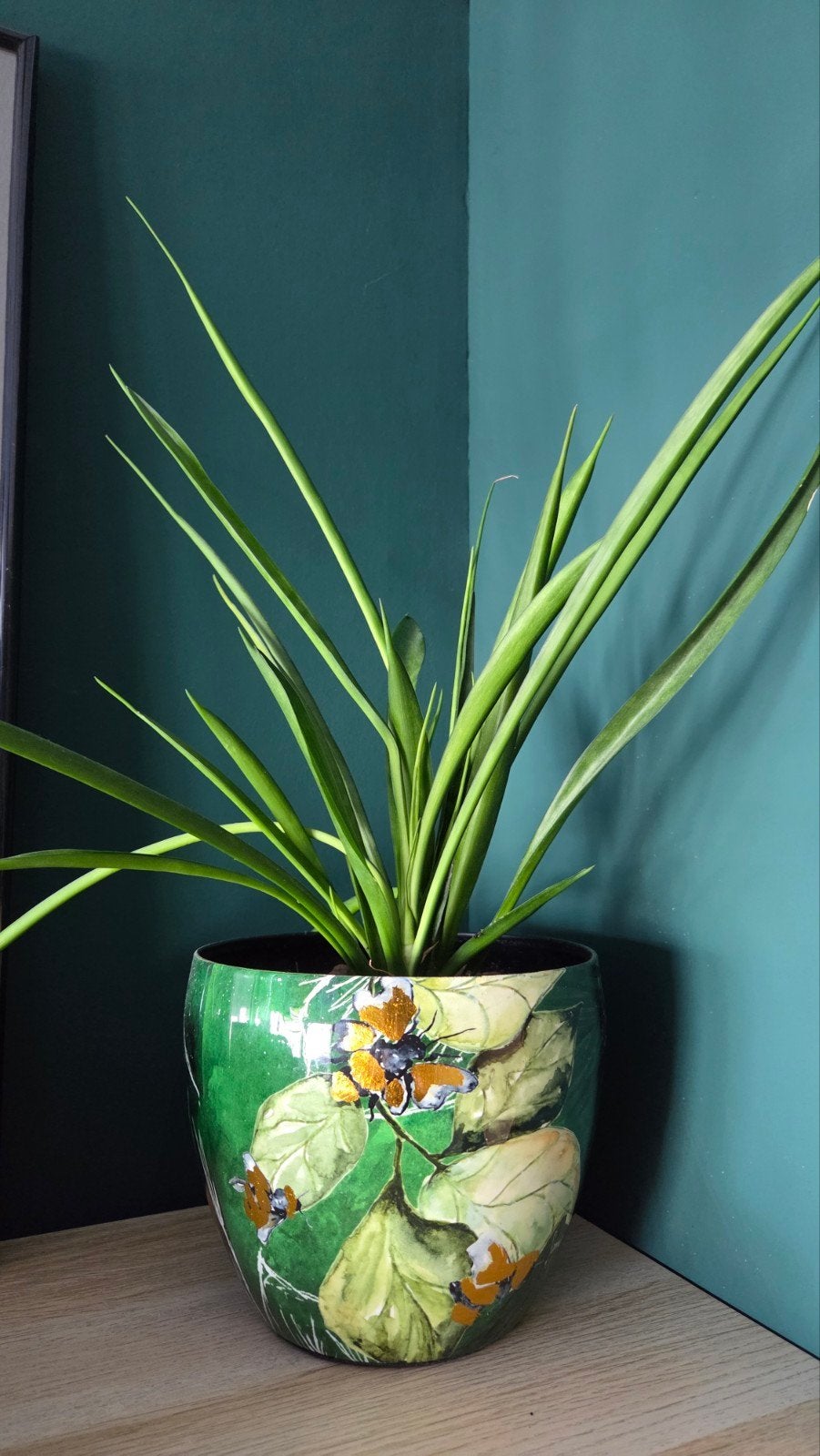 plantenpot, Huis en Inrichting, Ophalen, In pot, Halfschaduw, Minder dan 100 cm