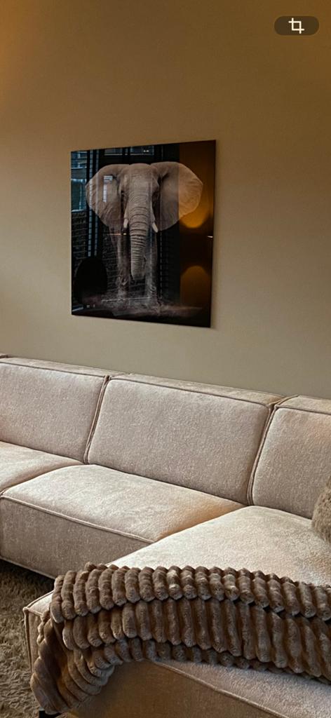 Glasschilderij 80x80, Huis en Inrichting, Woonaccessoires | Schilderijen, Tekeningen en Foto's, Ophalen, Zo goed als nieuw, 75 tot 100 cm