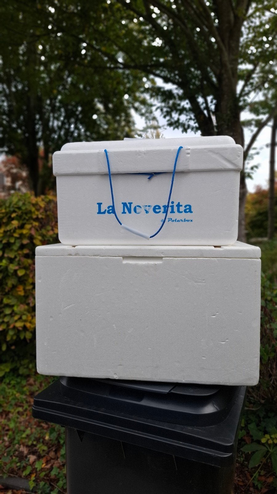 2 Tempex EPS piepschuimen isolatieboxen koelboxen dozen, Ophalen, Gebruikt, Koelbox, Koelelement