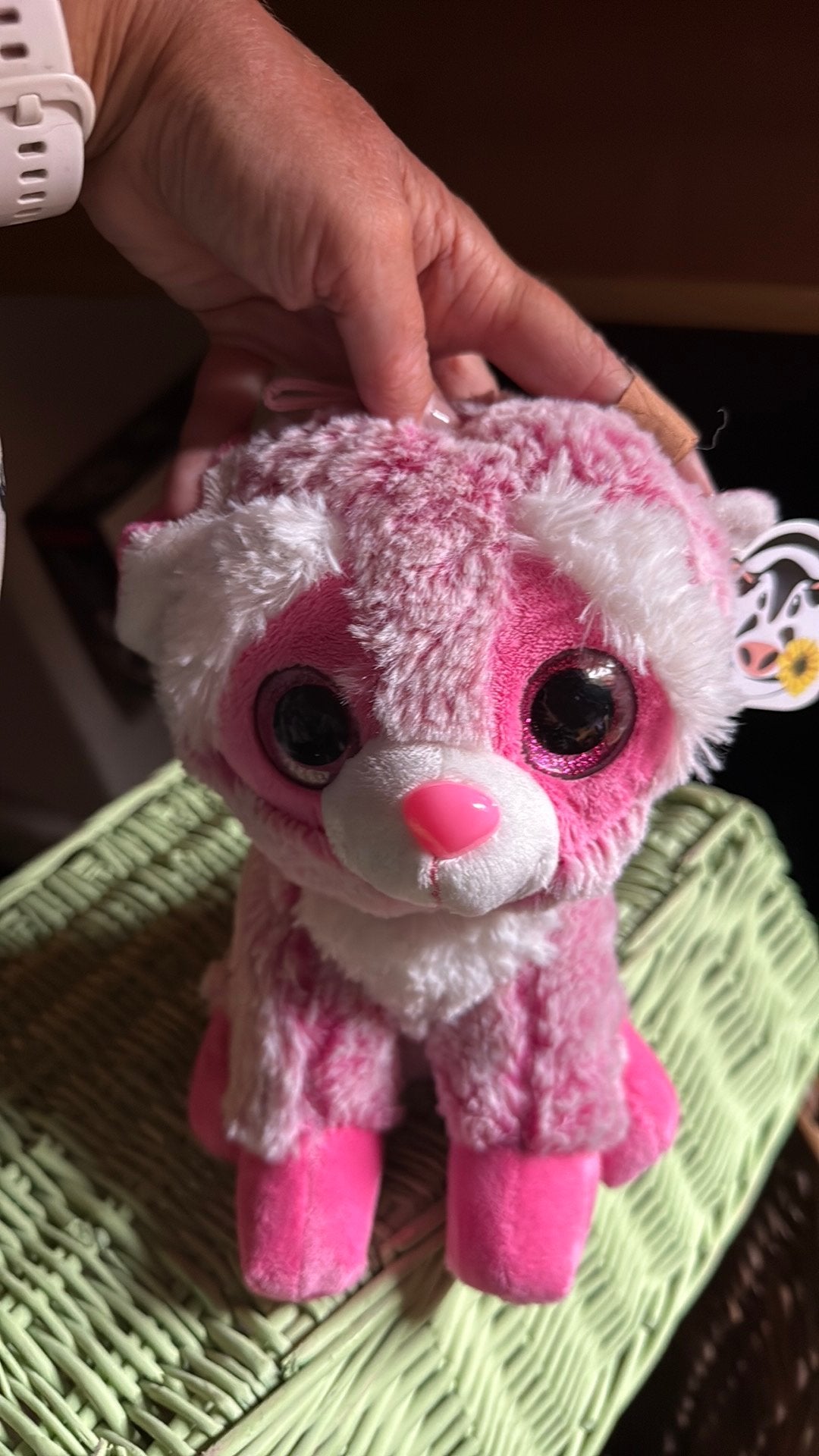 Glitteroogje grote knuffel nieuw ong 24 cm hoog, Ophalen of Verzenden, Nieuw, Overige typen